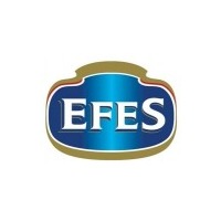 Логотип компании «EFES Россия»