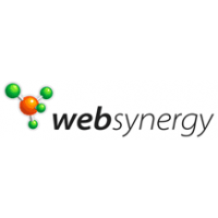 Логотип компании «Веб-синергия»