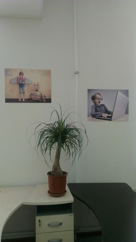 Фото офиса компании «SOTSOS»