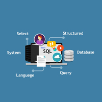 Логотип учреждения доп. образования «SQL Online»