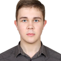Артём Свиридов (nikkofox), 27 лет, Россия, Москва