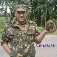 Александр Чубаков (aleksandrchubakov), 47 лет, Россия, Калуга