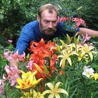 Андрей Букин (bukin-andrey3), 61 год, Россия, Москва
