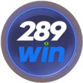 u289win