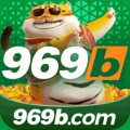 y969b01