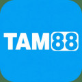 tam88