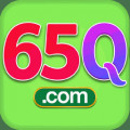 i65q