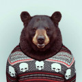 Bear13