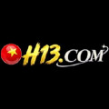 h13digital1
