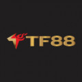 tf88is