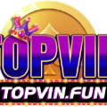 topvinfun