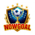 nowgoal29itcom