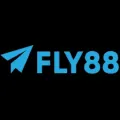 fly888gcom