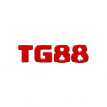 tg884top