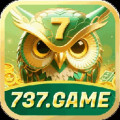 n737game