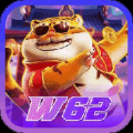 w6231