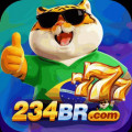h234br