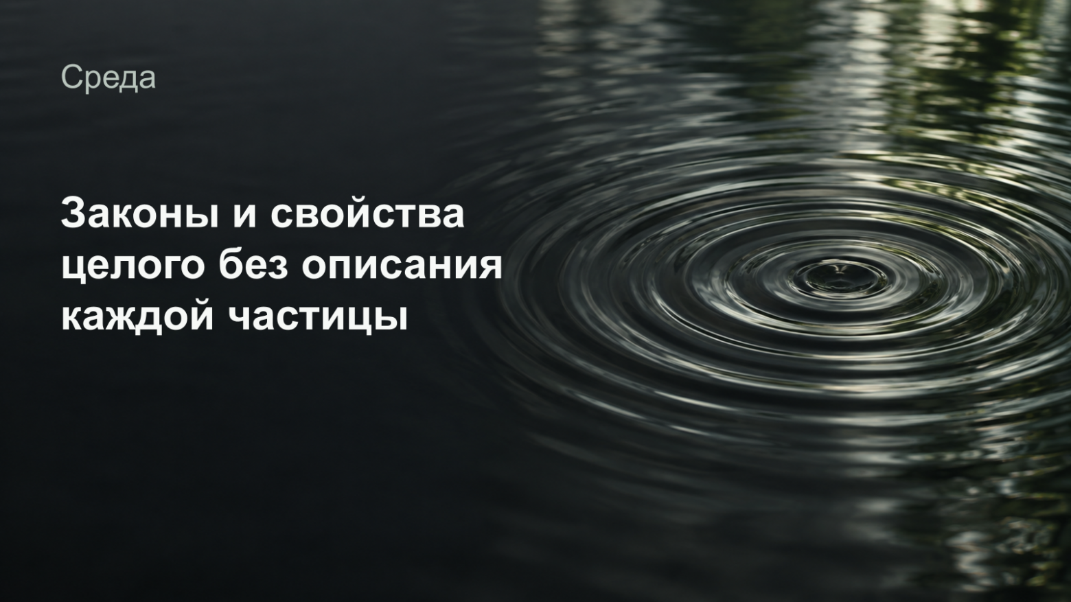 00fd2186bb1aa57b11592ff259b762c1.png