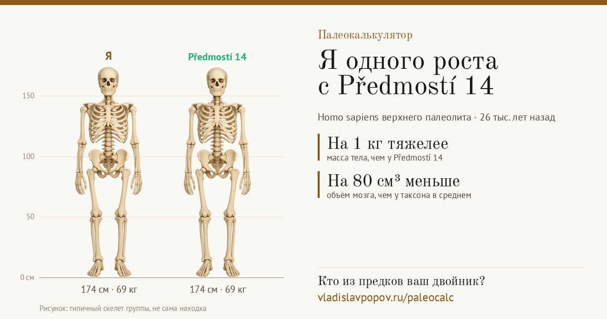 Сравнение с одним из сотен найденных древних людей