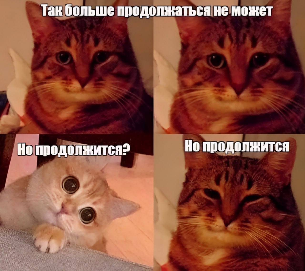 Но продолжится