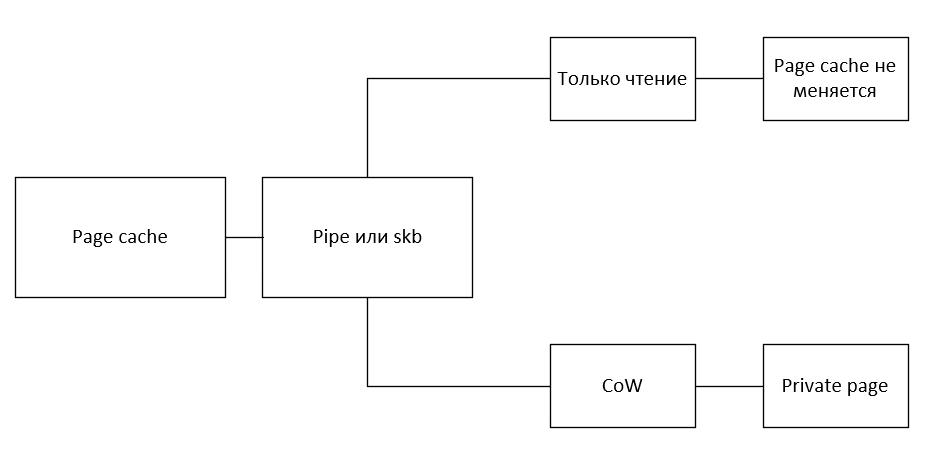 Общая страница памяти и механизм Copy-on-Write.