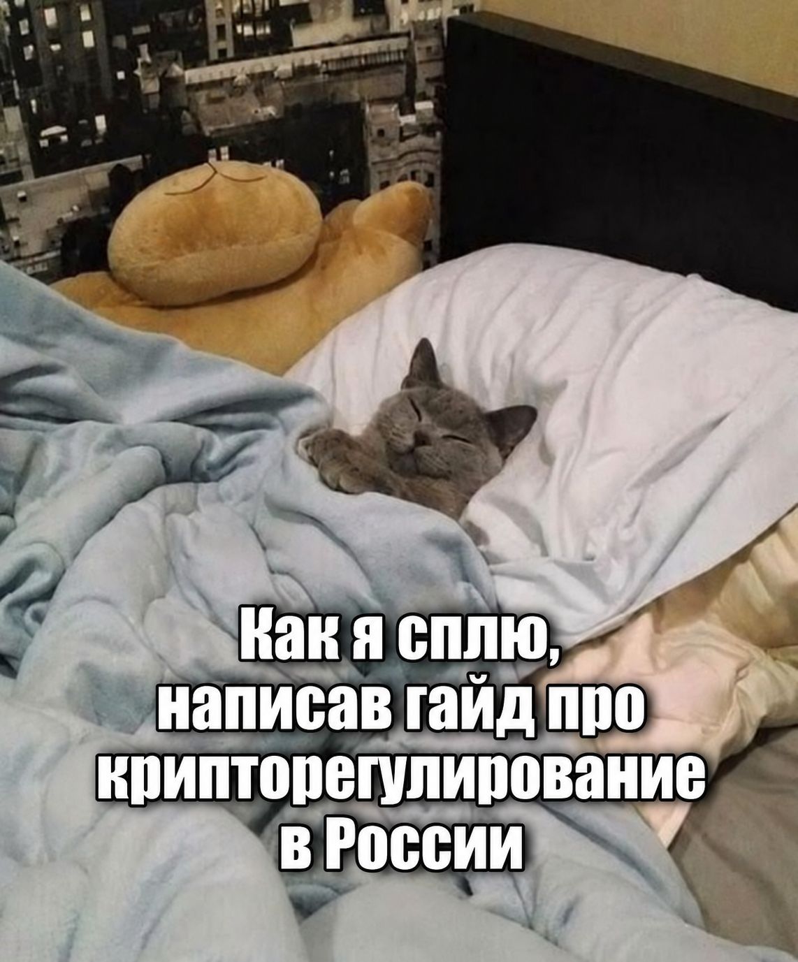 Чтобы вам было не так скучно читать, я добавил в юридический текст Кирилла мемов. Мемы всё делают лучше!