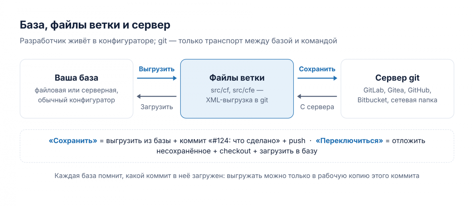 База, файлы ветки и сервер