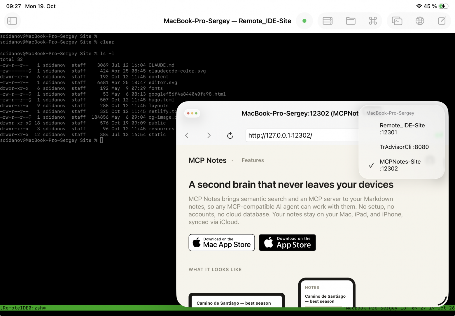 Список открытых окон предпросмотра по проектам: Remote_IDE-Site на порту 12301, TrAdvisorCli на 8080, MCPNotes-Site на 12302