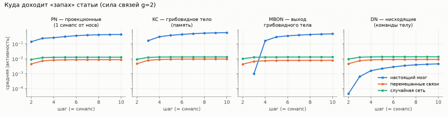 Средняя активность отделов по шагам при средней силе связей. Ось логарифмическая. Средняя активность отделов по шагам при средней силе связей. Ось логарифмическая.