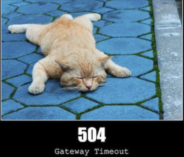 504