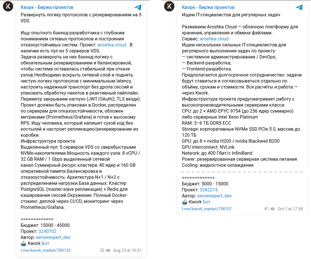Два заказа serverexpert_dev на Kwork: пул из 5 VDS в августе и до 8 видеокарт H200 в октябре
