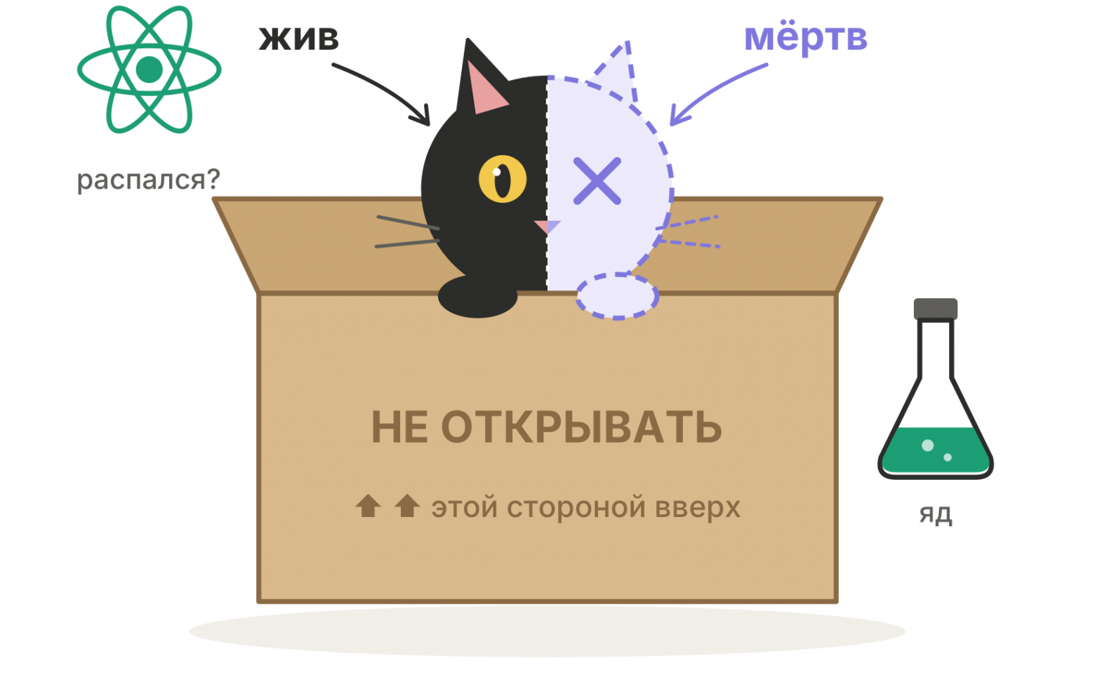 Кот Шрёдингера: и жив, и мёртв, пока коробка закрыта