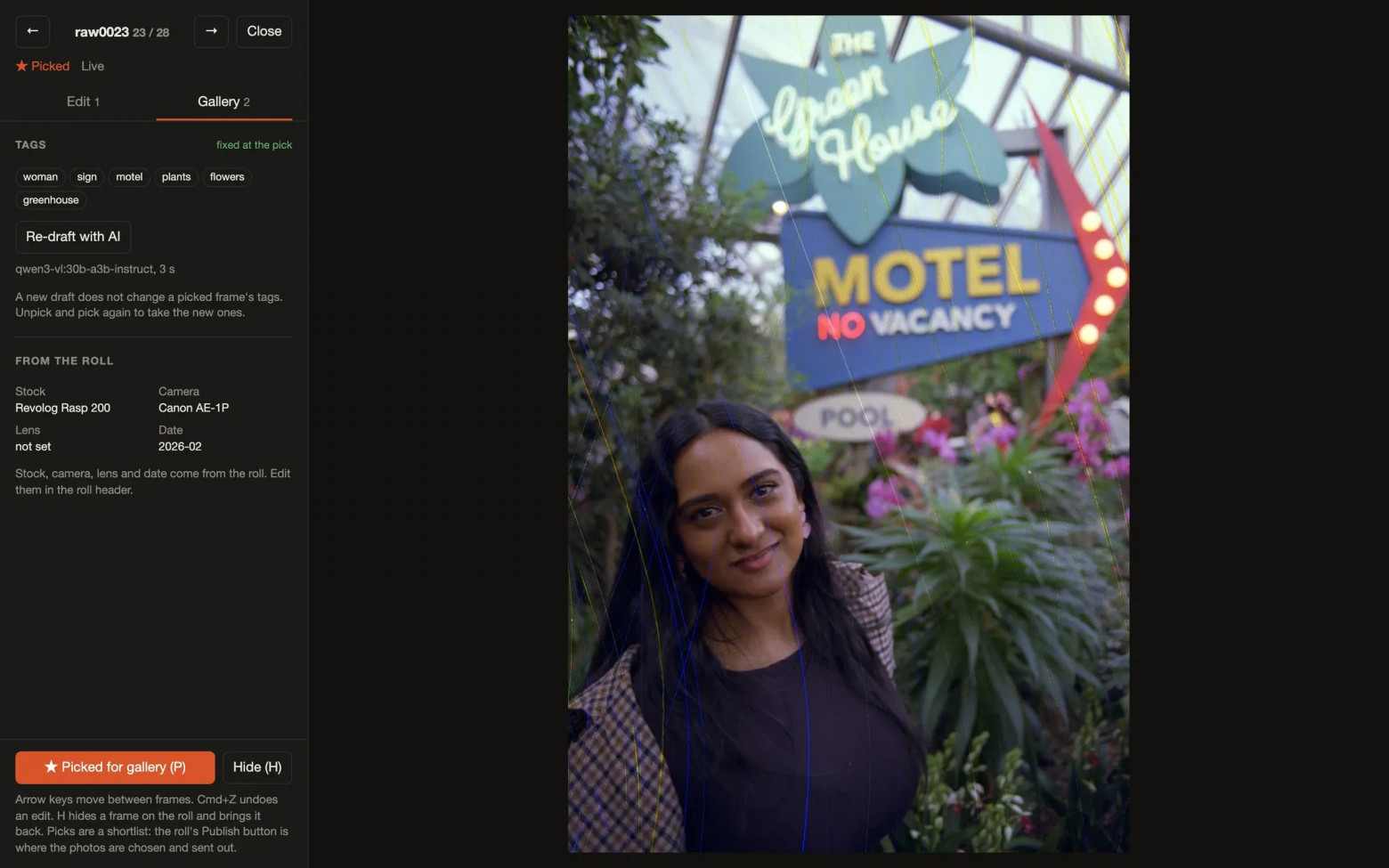 The Gallery tab of the review panel beside a portrait of a woman in front of a Green House Motel sign, with drafted tags: woman, sign, motel, plants, flowers, greenhouse.