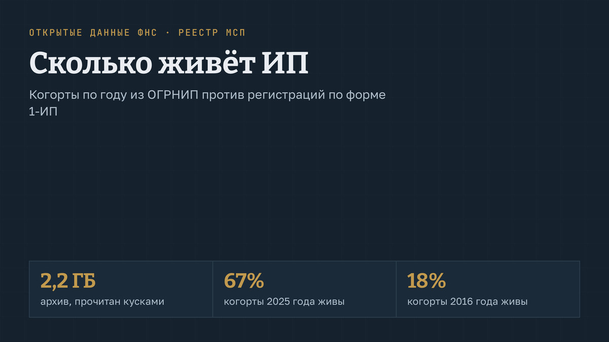 Сколько живёт индивидуальный предприниматель: тёмная КДПВ с тремя числами из открытых данных ФНС - размер архива реестра МСП, сколько ИП из когорты 2025 года живы и сколько из когорты 2016-го