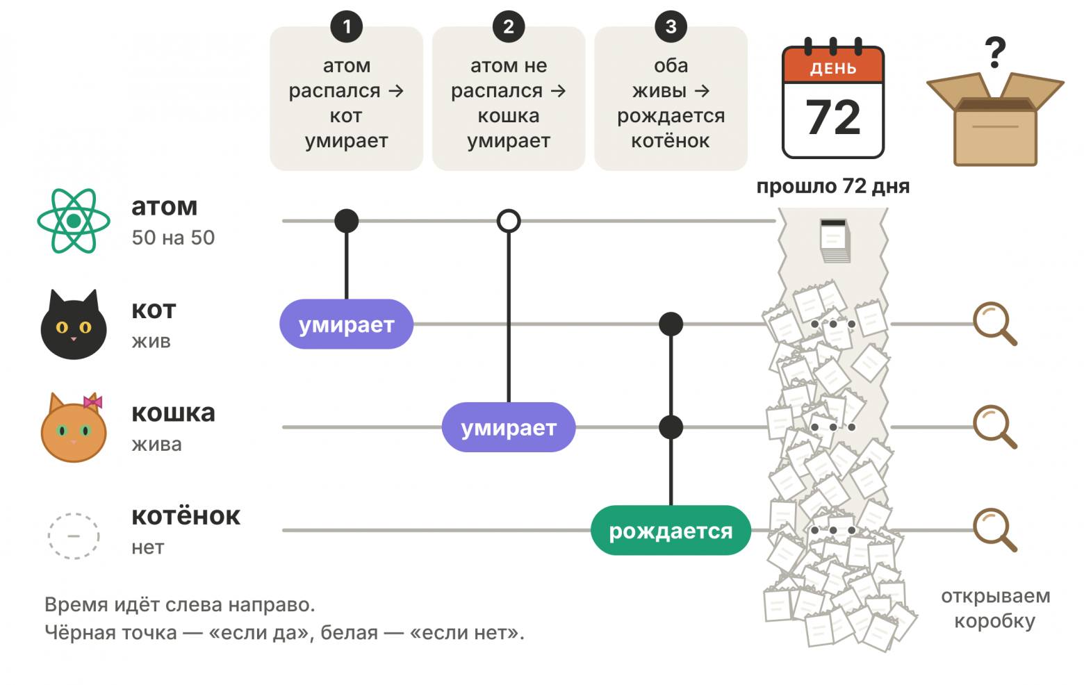 Схема коробки: атом, кот, кошка и котёнок, потом 72 дня и открываем коробку