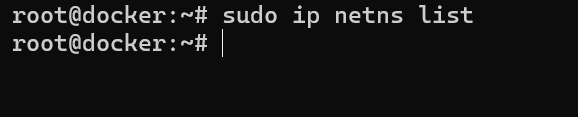 Результат выполнения команды sudo ip netns list для проверки виртуальных сетевых пространств на хосте.