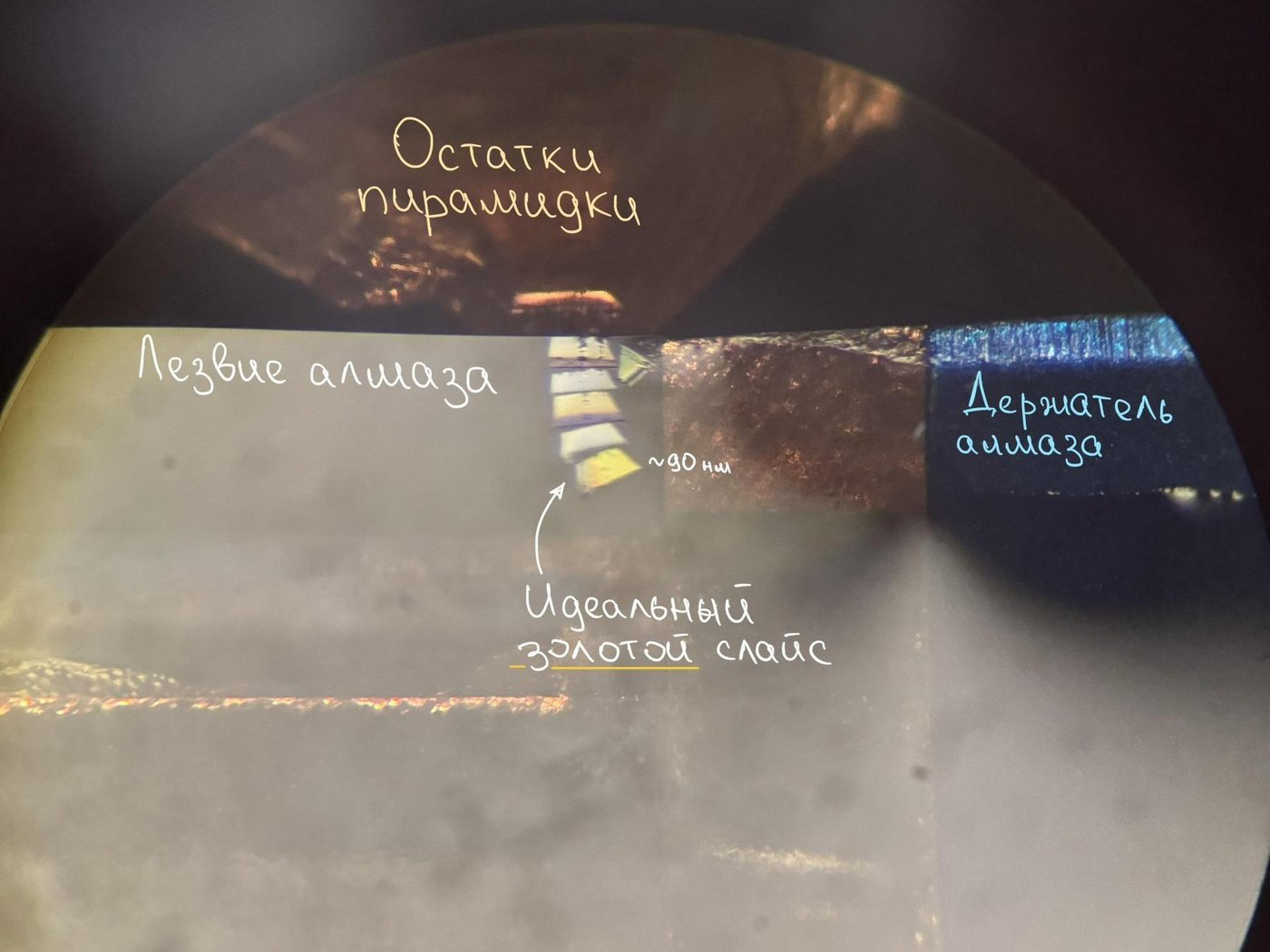 Сверху пирамидка, а снизу алмаз. Ну а эти плавающие слайсики — и есть эпоксидка с клетками!