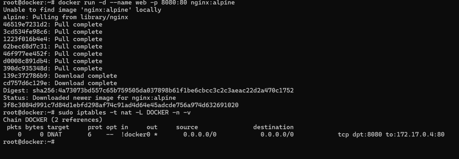 Проверка правил DNAT в iptables: автоматическая настройка проброса портов в цепочке DOCKER для веб-сервера nginx.