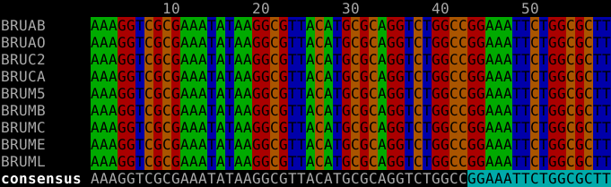 DNA alignment