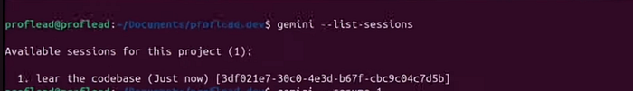 Step-by-Step Guide to Gemini CLI Session Management / Habr