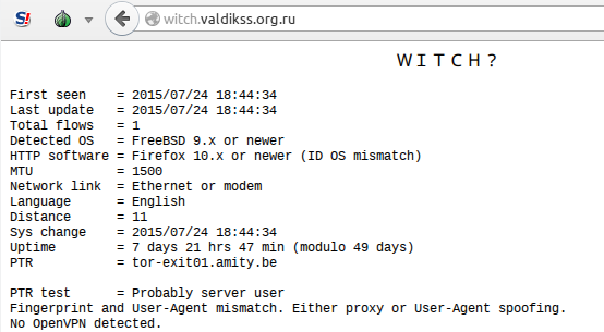 Tor Browser with ＷＩＴＣＨ？ opened