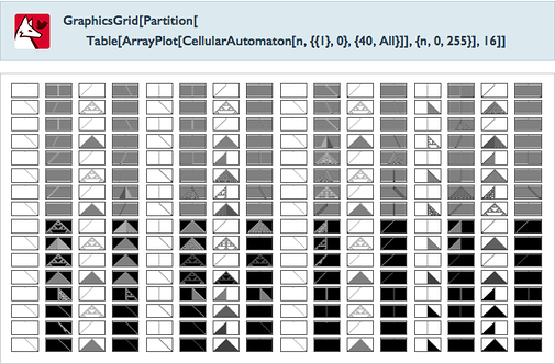 GraphicsGrid[Partition[Table[ArrayPlot[CellularAutomaton[n,{{1},0},{40,All}]],{n,0,255}],16]]