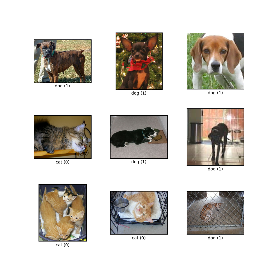 Source code: tfds.image_classification.CatsVsDogs