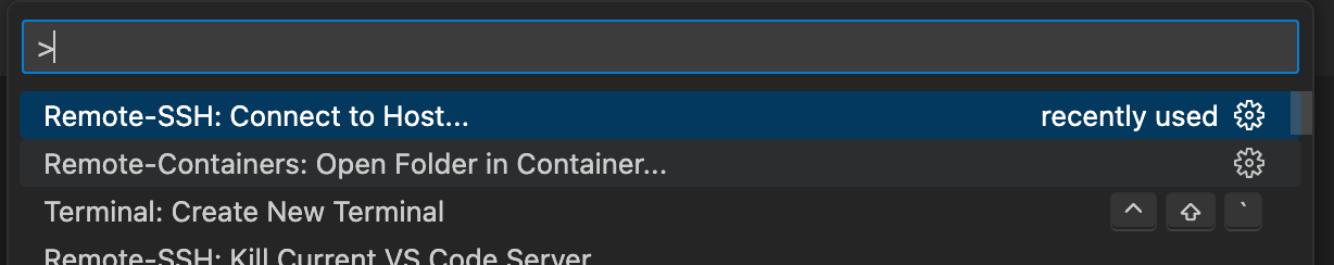 Выбираем Remote-Containers: Open Folder in Container...