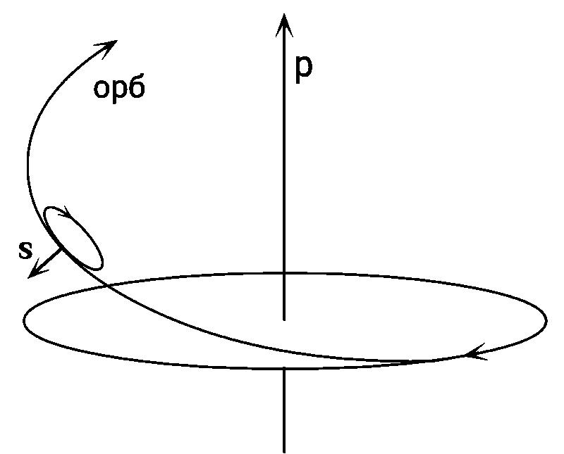 Электрон (спин против импульса), позитрон не представлен (спин по импульсу) орбиталь у обоих левая