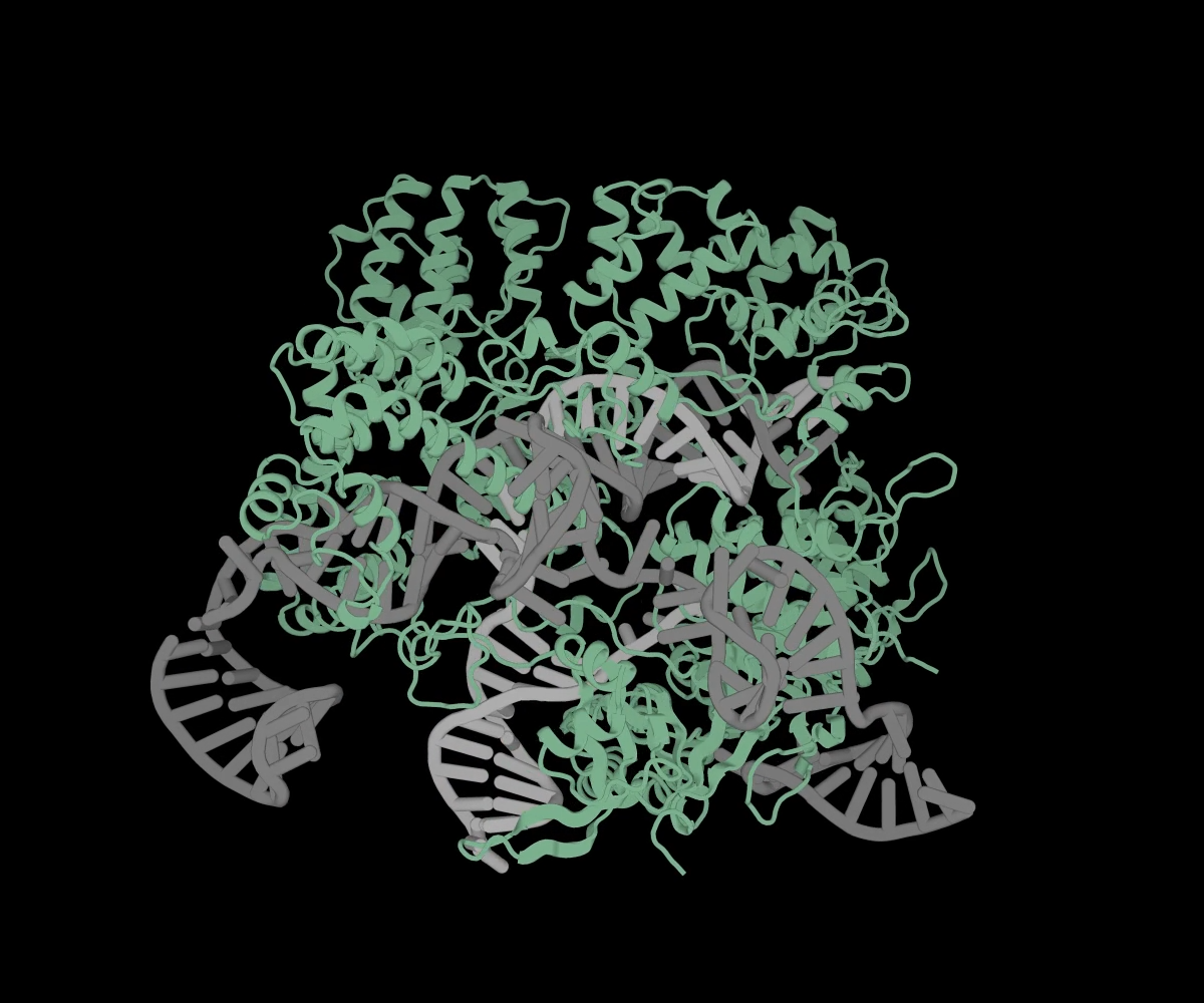 Структура белкового комплекса, созданного с помощью OpenCRISPR-1
