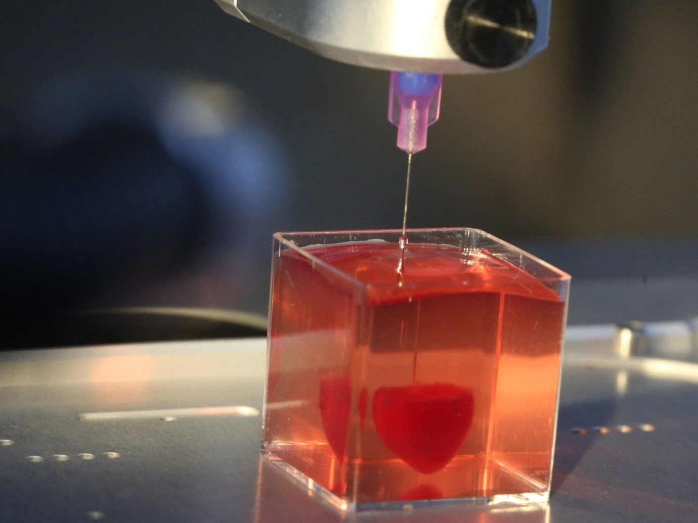 В 2019 году израильские ученые впервые создали на 3D-принтере человеческое сердце с кровеносными сосудами и клеткам. Сделано оно было в миниатюре, но, по словам исследователей, для печати сердца обычного размера может быть использована та же самая технология. Напечатанный орган состоит из жировых клеток пациента, которые были преобразованы в стволовые клетки сердечно-сосудистой мышцы, а затем смешаны с соединительной тканью и помещены в 3D-принтер / Фото: jta.org
