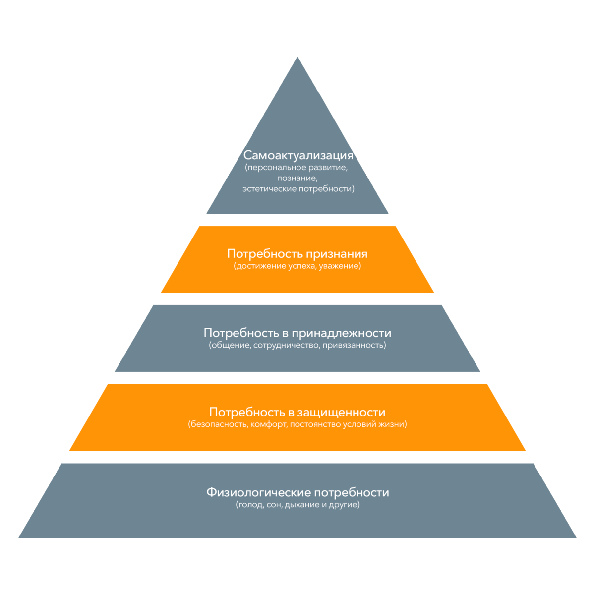 Логика пирамиды проста: человек закрывает потребности поочередно — от базовых (где взять еду и как сохранить здоровье) до самых сложных (как быть полезным миру). Профессиональная мотивация напрямую связана с этой пирамидой