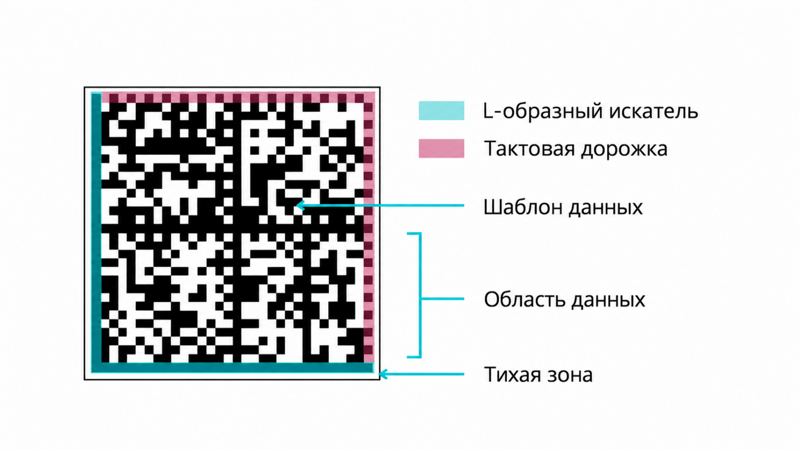 Состав Data Matrix Состав Data Matrix
