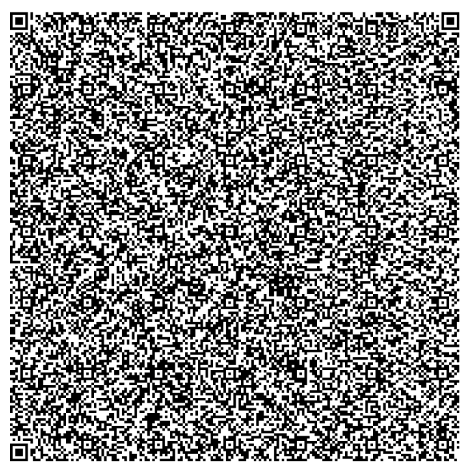 QR-код самого большого размера больше похож на ненастроенный телевизор QR-код самого большого размера больше похож на ненастроенный телевизор